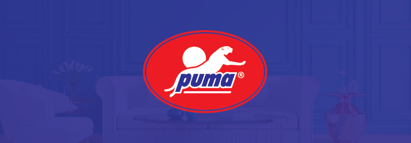 puma-paint-01.png